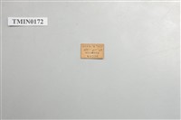 單條深山天牛藏品圖，第4張